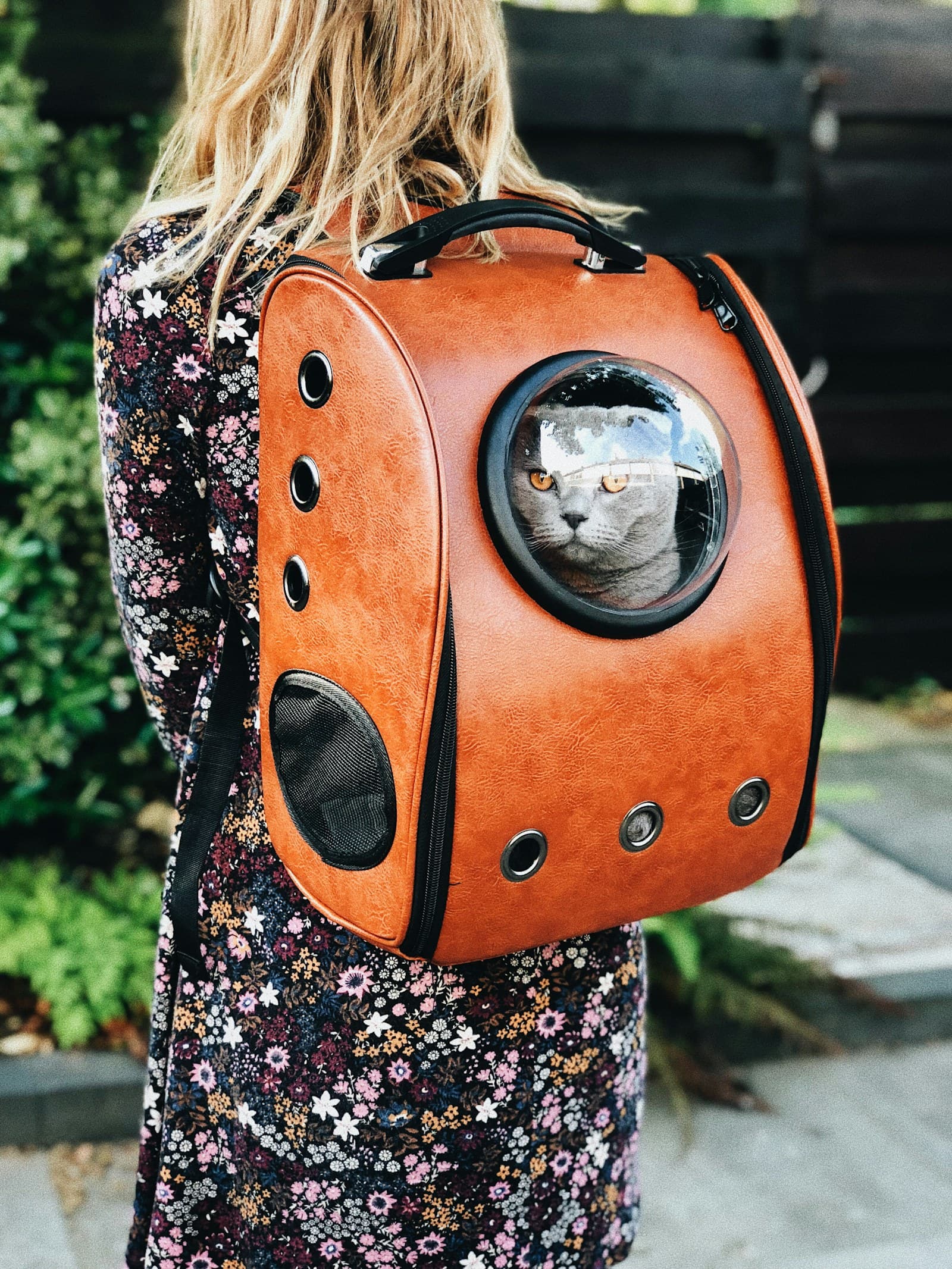Pet travel carrier prepared for a coordinated transportation handoff